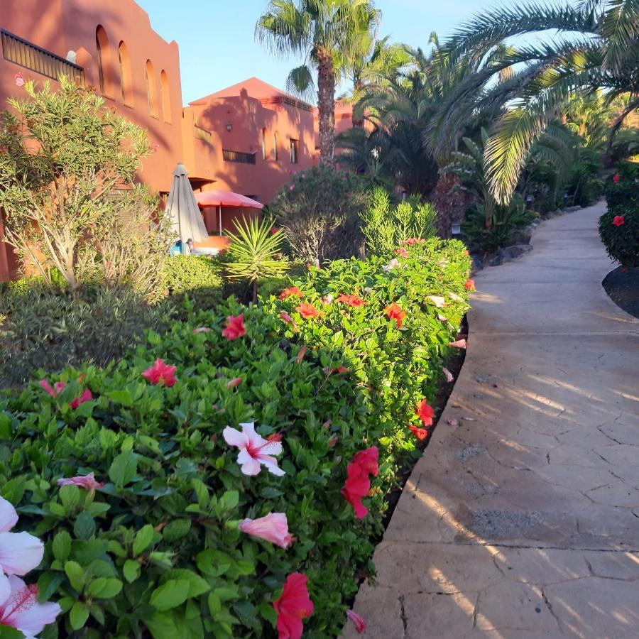 Casa Vacanza In Oasis Tamarindo Corralejo Kültér fotó